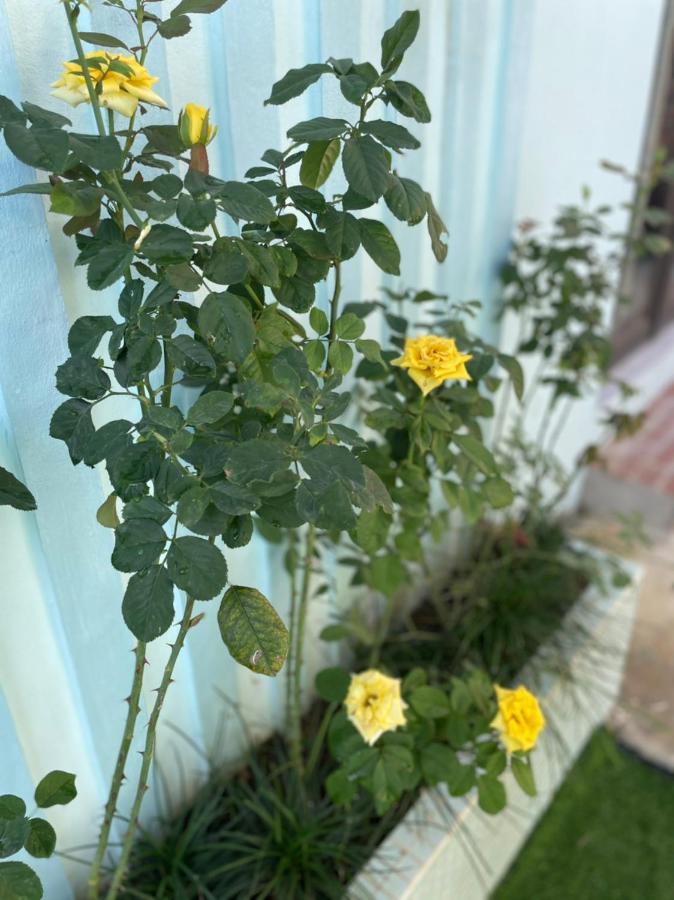 Hòa BìnhAn Bungalow - Mai Chau别墅 外观 照片